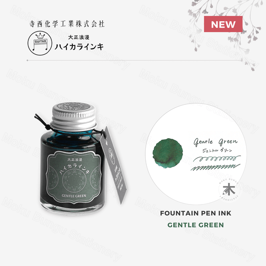 Teranishi - Guitar Taisho Roman Haikara - Fountain Pen Ink - Gentle Green