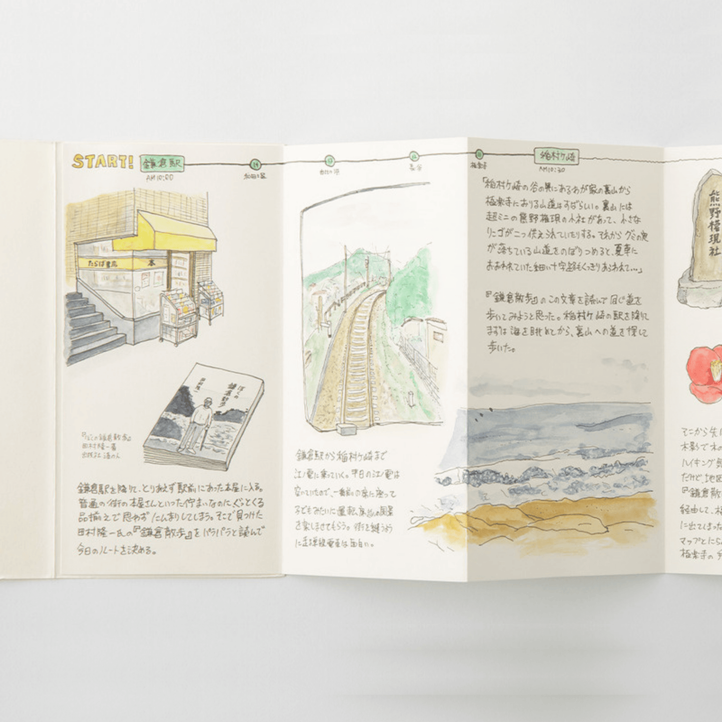 TRAVELER'S notebook Refill - Regular Size - 032 Accordion Fold Paper