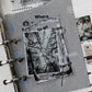 LCN Design Studio - PET Tape - Ephemera