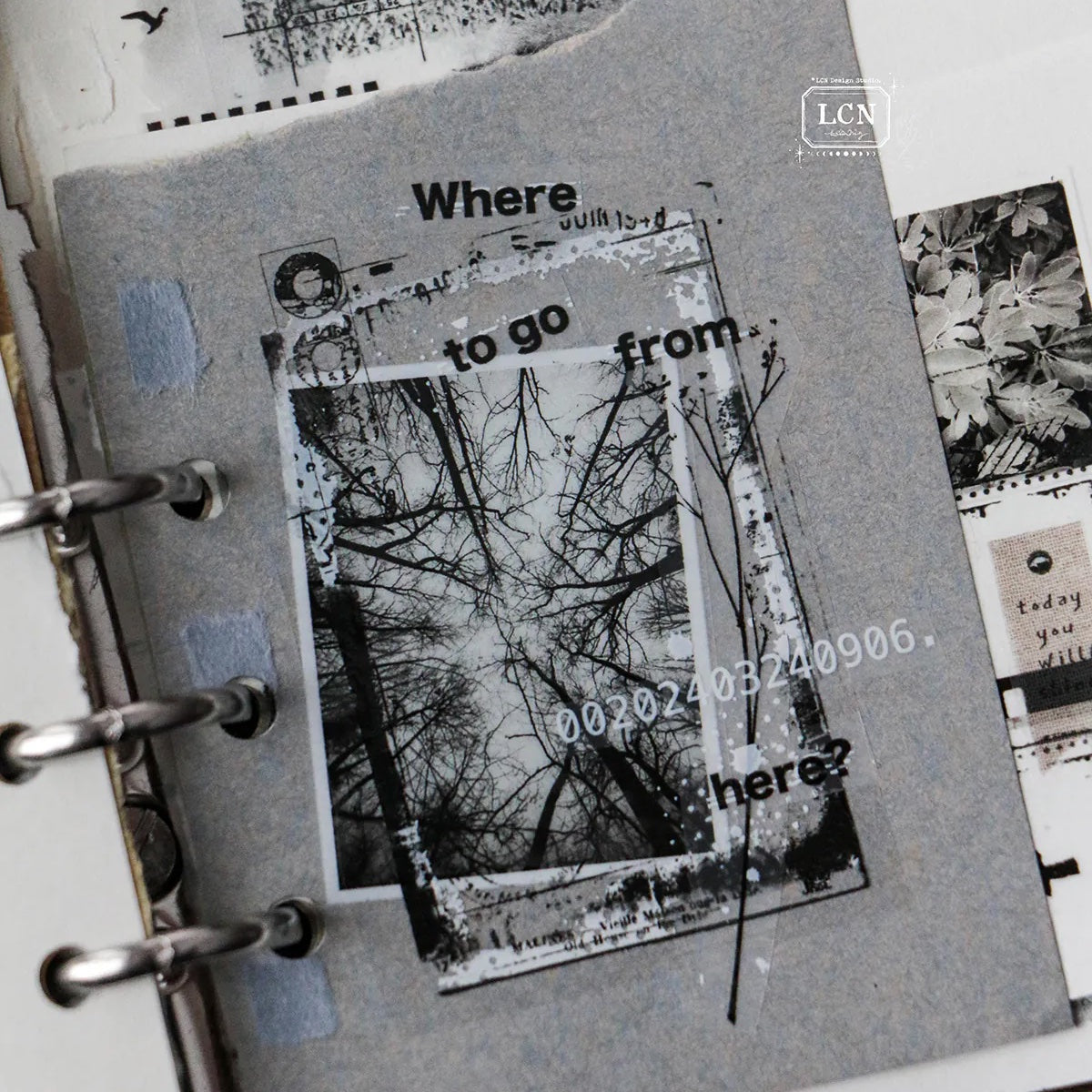 LCN Design Studio - PET Tape - Ephemera