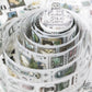 LCN Design Studio - UV Printing Matte PET Tape - Pieces of the Universe