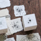 LCN Design Studio - Wooden Rubber Stamp Set - Nebula