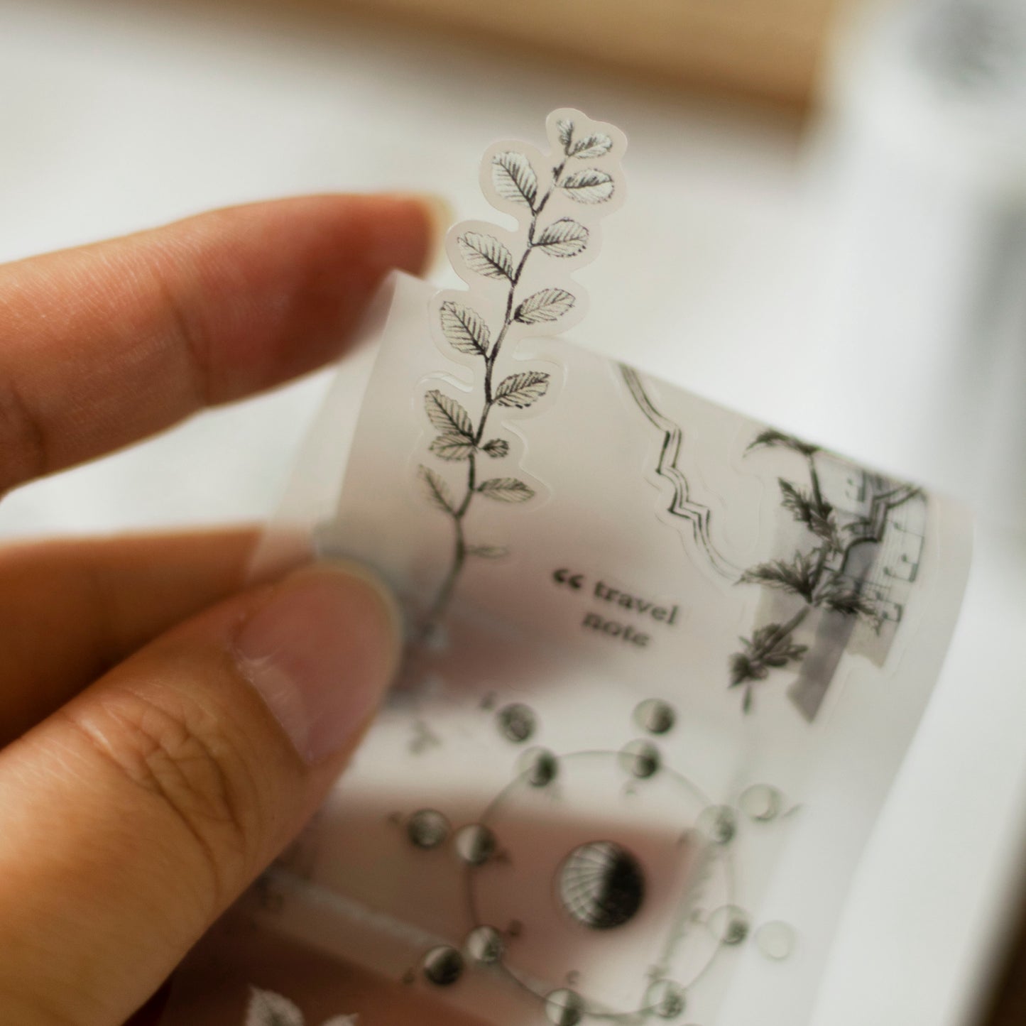 Loi Design - Die-Cut Matte PET Tape - Daily Series - Collected Moments