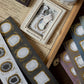 Loi Design - Foil-Stamped Die-Cut Masking Tape - Witch Series - Witch Hotel Tablecloth