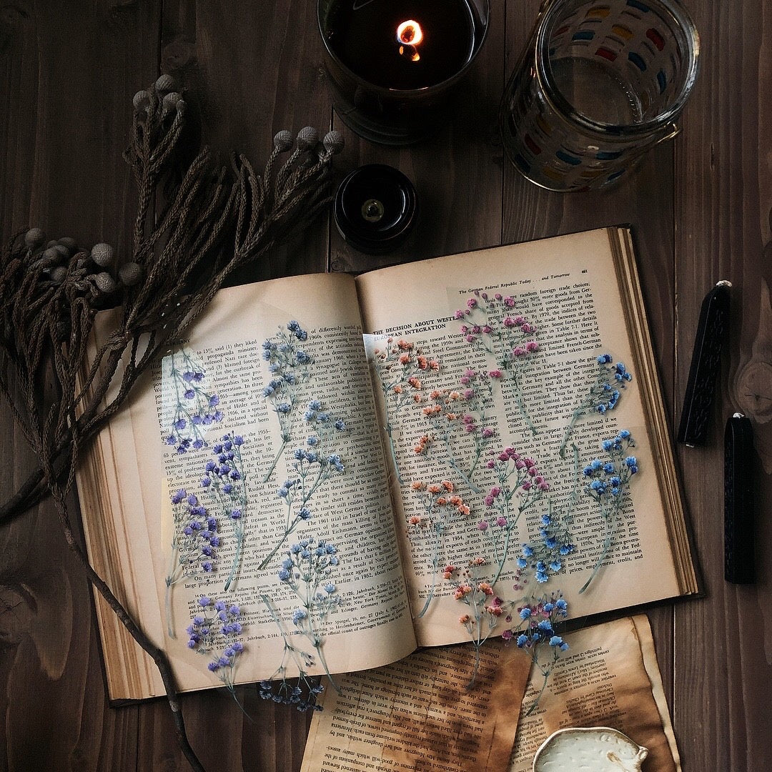 Loi Design - PET Tape - Floral Series - Gypsophila