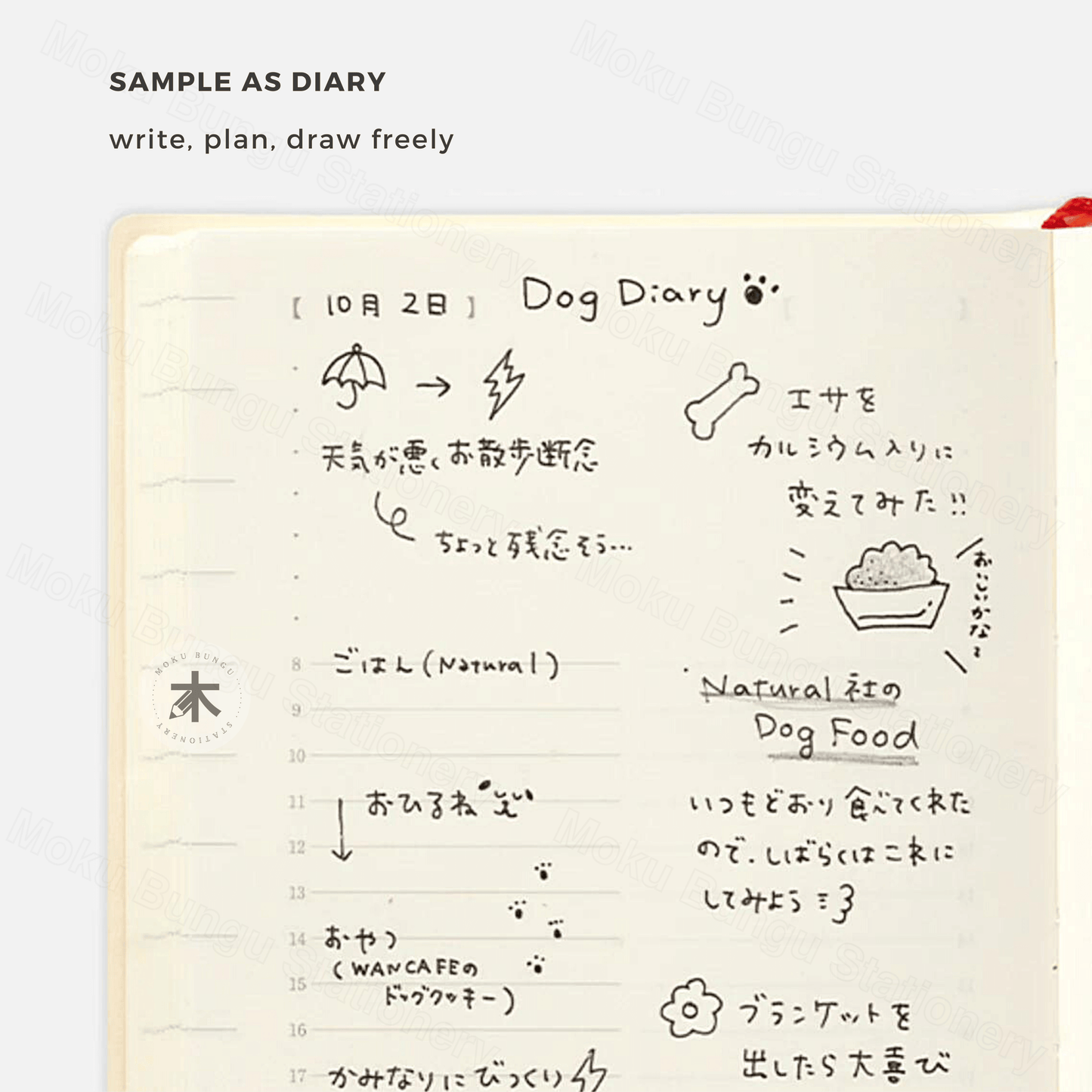 Midori - MD Notebook - 2024 Diary - 1 Day 1 Page - A6