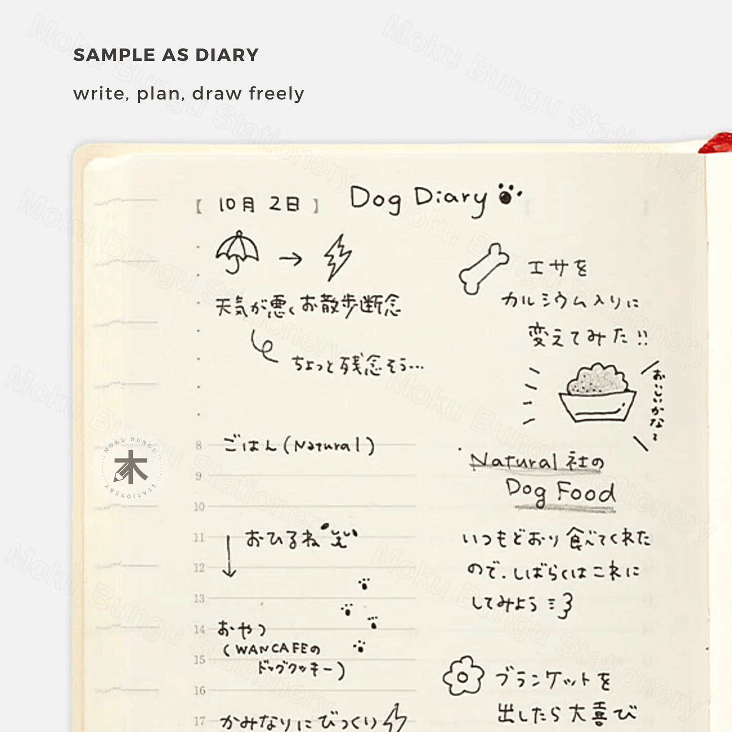 Midori - MD Notebook - 2025 Diary - 1 Day 1 Page - A6