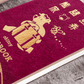 Rokkaku x Ob1toy - Foil-Stamped Notebook - Passport Style - Earth Tours - Red Cover