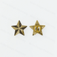 The Superior Labor - Brass Pin - Star