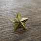 The Superior Labor - Brass Pin - Star