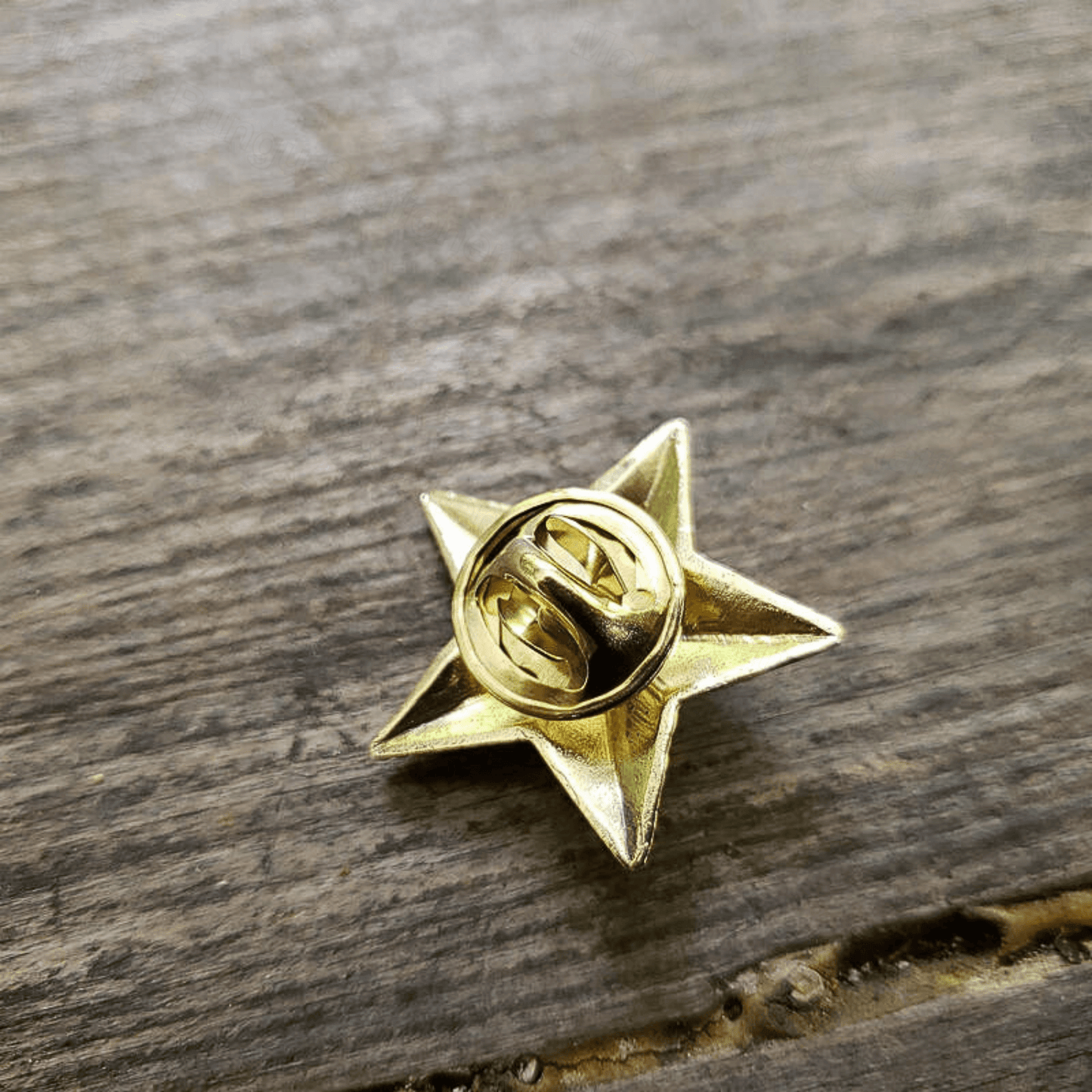 The Superior Labor - Brass Pin - Star