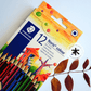 Staedtler - Noris Colour - Coloured Pencils - 12 Pack