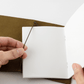 TRAVELER'S notebook Leather Cover Starter Kit - Passport Size - Olive